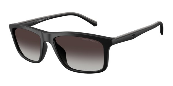 Emporio Armani 0EA4257U Sunglasses