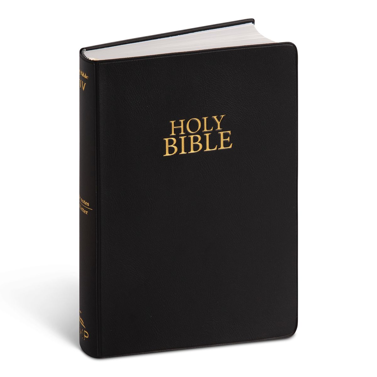 NIV Vinyl Black Bible