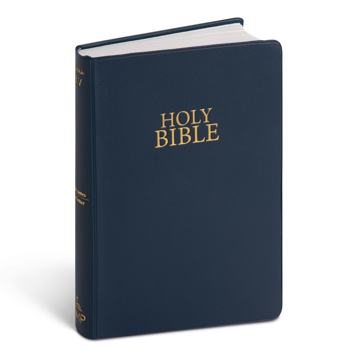 NIV Vinyl Navy Bible