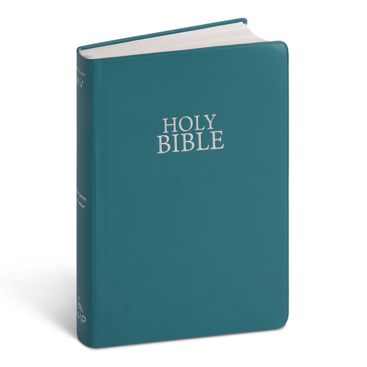 NIV Vinyl Teal Bible